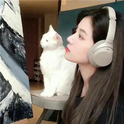 猫咪马汀